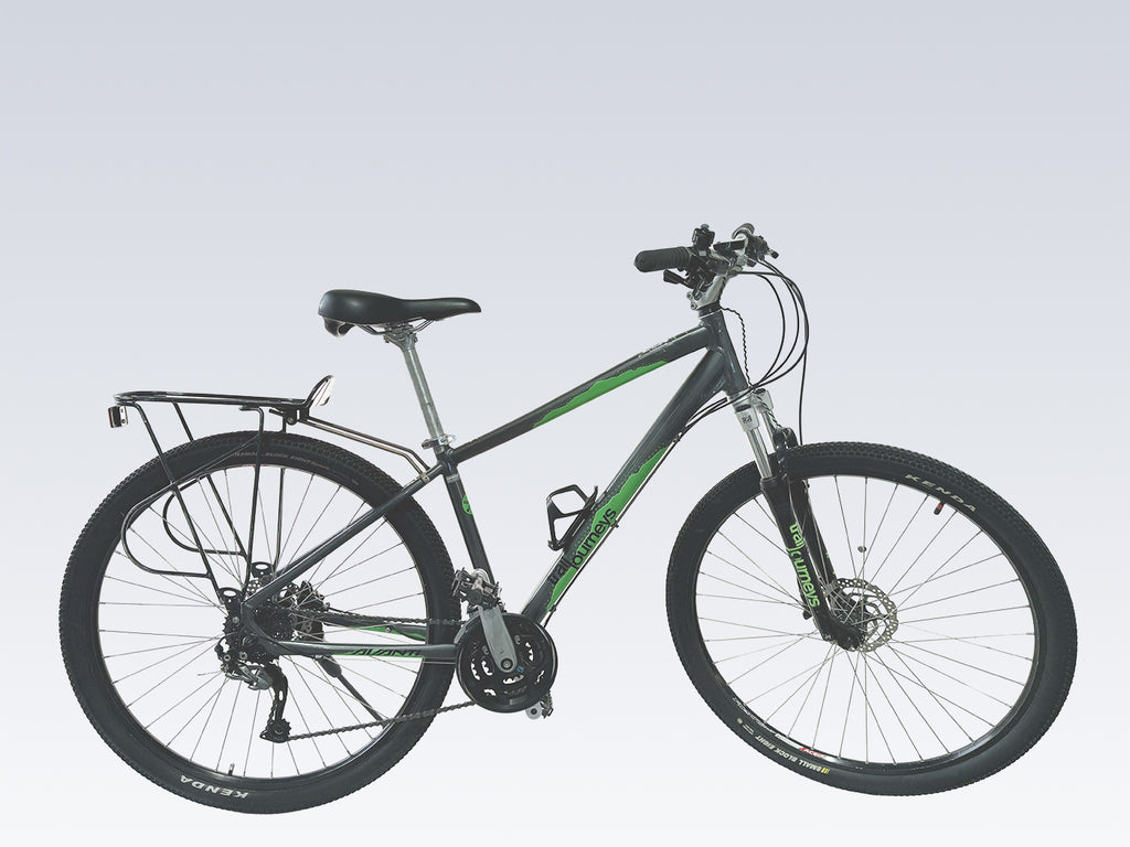 Avanti Standard bike
