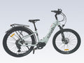 Sinch eBike - Step Through